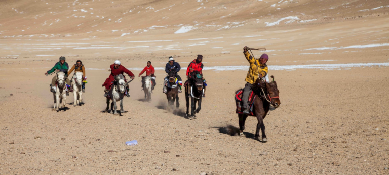 Group riding horses across a desert landscape, showcasing adventure and cultural tradition.